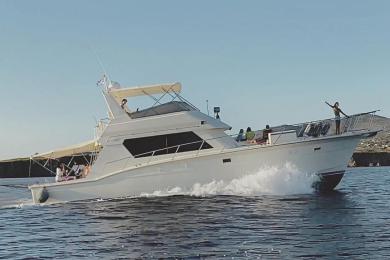 Hatteras | 52 Convertible